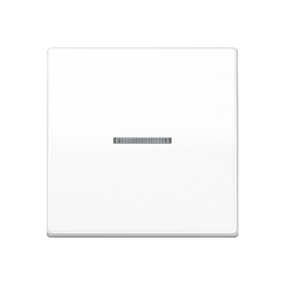 Wippe mit Lichtleiter, Duroplast, Serie AS, alpinweiß