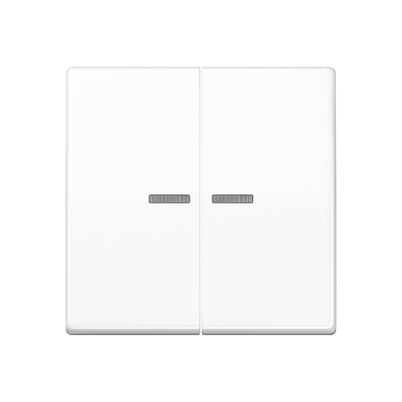 Wippe 2fach, mit Lichtleiter, Duroplast, Serie AS, alpinweiß