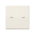 Wippe 2fach, mit Pfeilsymbolen, Duroplast, Serie AS, weiß (ivory)