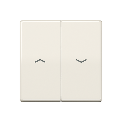 Wippe 2fach, mit Pfeilsymbolen, Duroplast, Serie AS, weiß (ivory)