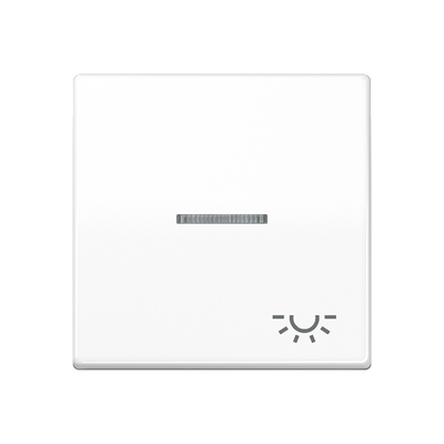 Wippe mit Lichtleiter, Symbol Licht, Duroplast, Serie AS, alpinweiß