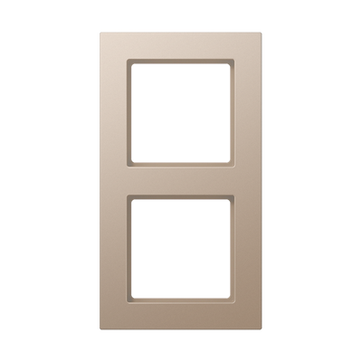 Rahmen 2fach, senkrechte und waagerechte Montage, Thermoplast lackiert, A 550, champagner