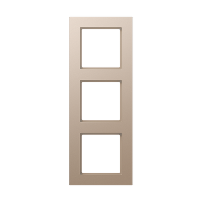 Rahmen 3fach, senkrechte und waagerechte Montage, Thermoplast lackiert, A 550, champagner