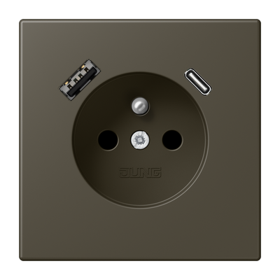 Steckdose, französisch/belgisches System, 16 A 250 V ~, mit USB-Ladegerät, 1 x Typ A + 1 x Typ C, Safety Plus, Serie LS, ombre naturelle 31 (32140)