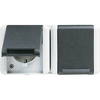 SCHUKO®-Zweifach-Steckdose, verdrahtet, 16 A 250 V ~, waagerecht, IP 44, WG 800