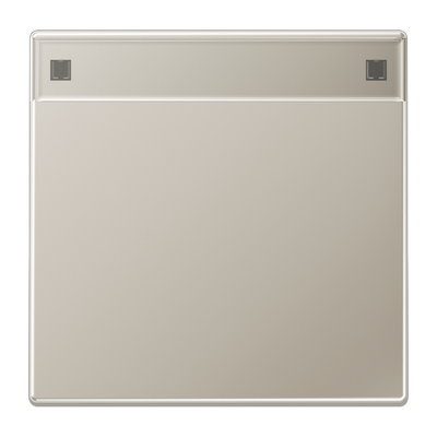 Wippe 1fach, mit Schriftfeld, Serie LS, Edelstahl