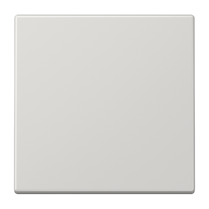 Wippe 1fach, Duroplast, Serie LS, lichtgrau