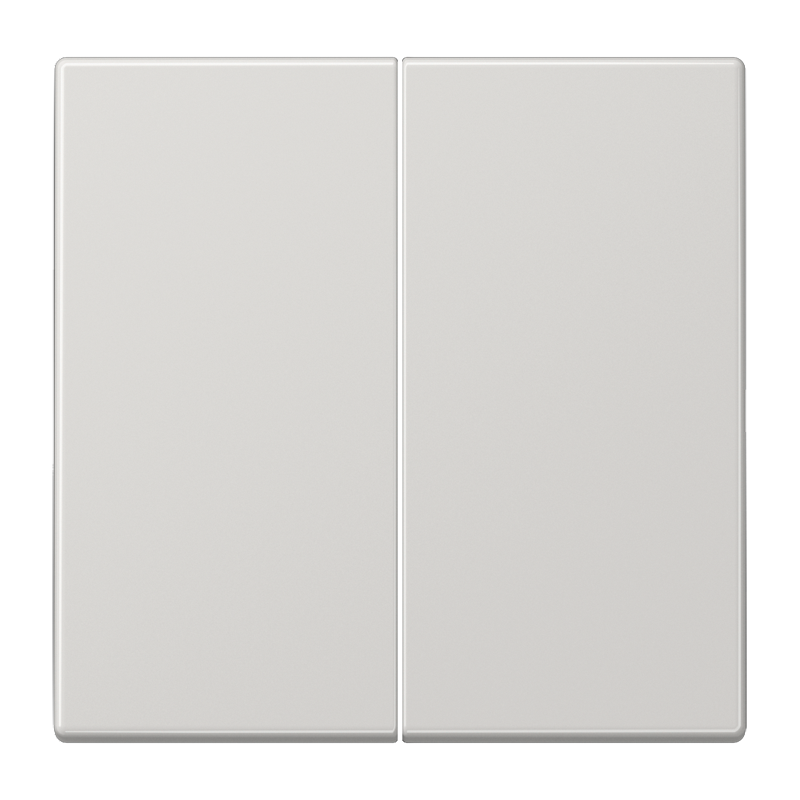 Wippe 2fach, Duroplast, Serie LS, lichtgrau