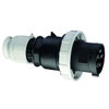 Stecker TE 63A 5p 500V 7h, IP67