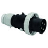 Stecker TE 63A 4p 500V 7h, IP67