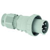 Stecker TE 125A 5p >50V grau 1h, IP67