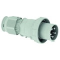 Stecker TE 125A 5p >50V grau 1h, IP67