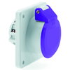 Kleinspannungs-Anbausteckdose gerade 16A 2p 24V keine Hilfsnase oder Nut, IP44