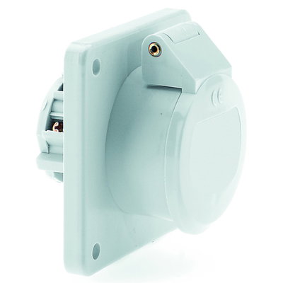 Kleinspannungs-Anbausteckdose gerade 32A 2p 42V 12h, IP44
