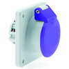 Kleinspannungs-Anbausteckdose gerade 16A 2p 24V keine Hilfsnase oder Nut, IP44