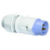 Kleinspannungs-Stecker 16A 3p 24V keine Hilfsnase oder Nut, IP44