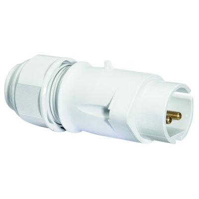 Kleinspannungs-Stecker 32A 2p 