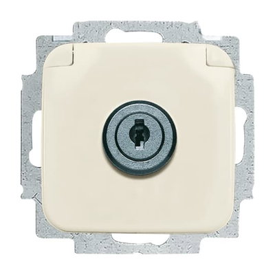 SCHUKO® Steckdosen-Einsatz mit Klappdeckel , Zylinderschloss/abschließbar,