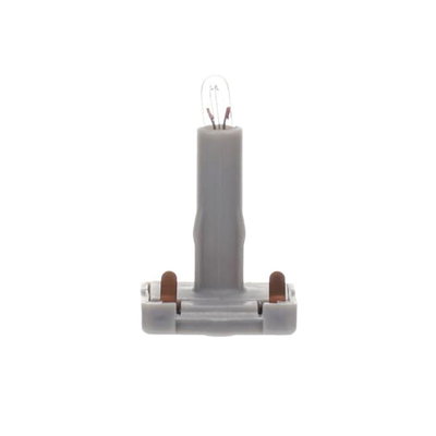 Steck-Glühlampe