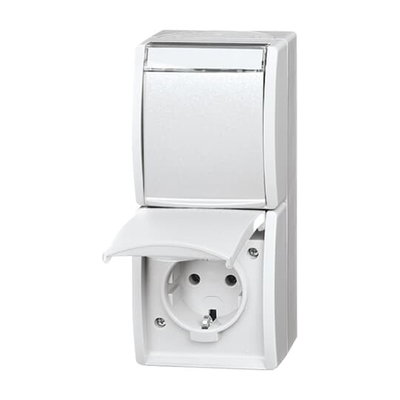 SCHUKO® Doppelsteckdose mit Beschriftungsfeld mit Klappdeckel 16 A alpinweiß  -