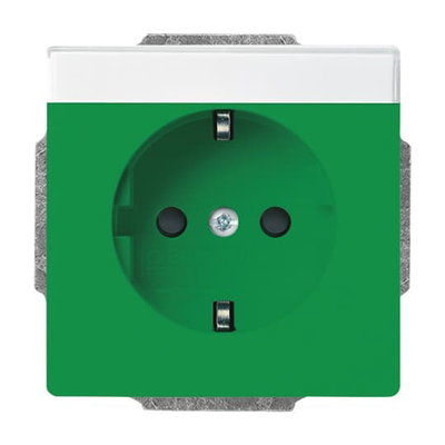 SCHUKO® Steckdosen-Einsatz Safety+ mit Beschriftungsfeld grün - Plattform 63