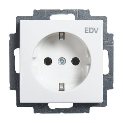 SCHUKO® Steckdosen-Einsatz mit Aufdruck EDV alpinweiß - Busch-balance® SI