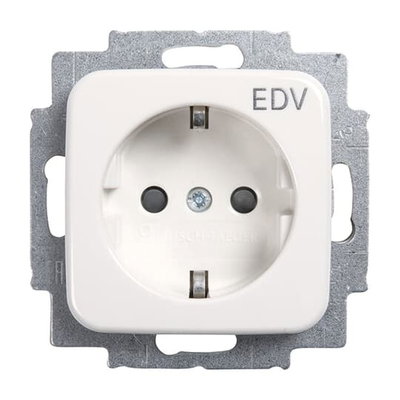 SCHUKO® Steckdosen-Einsatz mit Aufdruck EDV Safety+ alpinweiß - Reflex SI