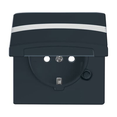 SCHUKO® Steckdosen-Einsatz Safety+ mit Klappdeckel mit Beschriftungsfeld