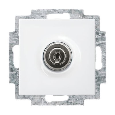 SCHUKO® Steckdosen-Einsatz Safety+ mit Klappdeckel ,