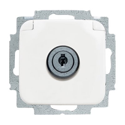 SCHUKO® Steckdosen-Einsatz mit Klappdeckel , Zylinderschloss/abschließbar,