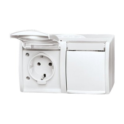 SCHUKO® Doppelsteckdose mit Beschriftungsfeld mit Klappdeckel 16 A alpinweiß  -