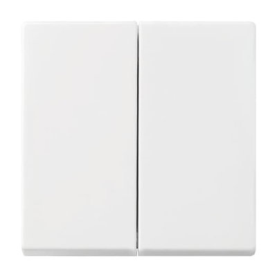 Wippe SerienschalterBusch-balance® SI   