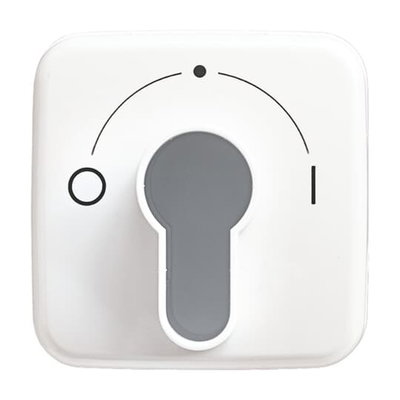 Zentralscheibe mit Aufdruck Symbol "0 und 1" für Jalousie, Schlüsselschalter