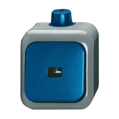Wipptaster Einzeltaster 1P 1 Schließer blau - Busch-Duro 2000® WDI   