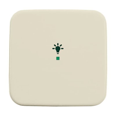 Wippe 1-fach, mit Symbol "Licht"   