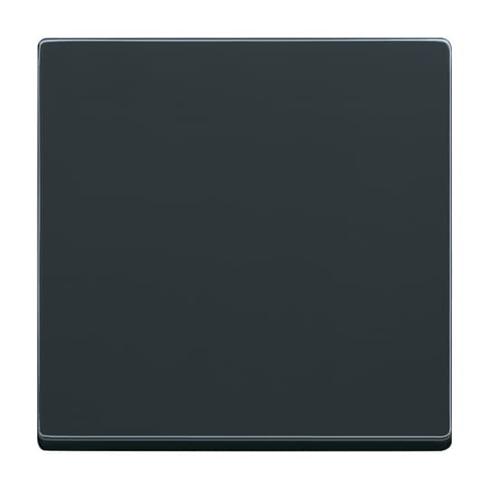 Wippe für Smart Switch 1-fach anthrazit - Plattform 63