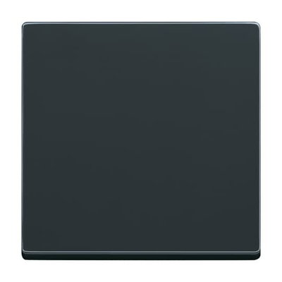 Wippe für Smart Switch 1-fach anthrazit - Plattform 63