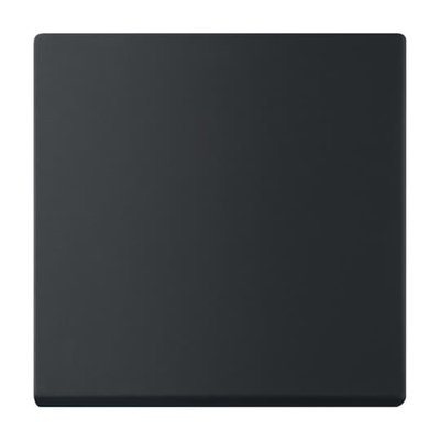 Wippe für Smart Switch 1-fach schwarz matt - Plattform 63