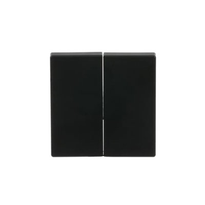 Wippe für Smart Switch 2-fach schwarz matt - Plattform 63