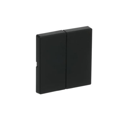 Wippe für Smart Switch 2-fach schwarz matt - Plattform 63   