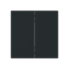 Wippe für Smart Switch 2-fach schwarz matt - Busch-art linear®   