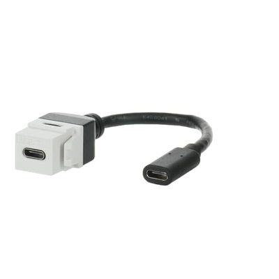 Kabelpeitsche Keystone Modular-Jack-Einsatz, Keystone USB-Stecker Ausführung: