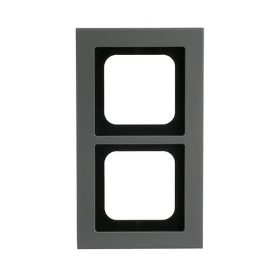 Abdeckrahmen 2-fach platin - Busch-axcent® pur   