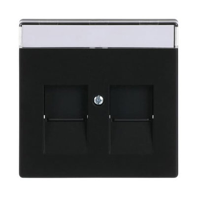 Zentralscheibe mit Beschriftungsfeld Modular-Jack-Einsatz, Keystone 2-fach