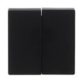 Wippe für Schalter/Taster, 2-fach schwarz matt - Plattform 63