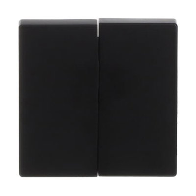 Wippe für Schalter/Taster, 2-fach schwarz matt - Plattform 63