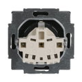 SCHUKO® Steckdosen-Einsatz mit Beschriftungsfeld anthrazit - Plattform 63