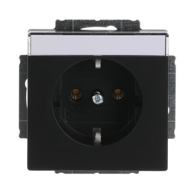 SCHUKO® Steckdosen-Einsatz mit Beschriftungsfeld schwarz matt - Plattform 63