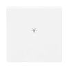Wippe 1-fach, mit Symbol "Licht"   