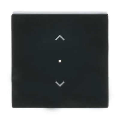 Wippe 1-fach, mit Symbol "Jalousie"   